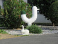 /album/coulon/img-3633-jpg/