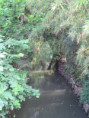 /album/coulon/img-3634-jpg/
