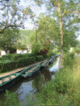 /album/coulon/img-3638-jpg/