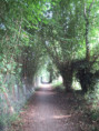 /album/coulon/img-3639-jpg/