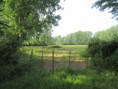 /album/coulon/img-3643-jpg/