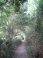 /album/coulon/img-3644-jpg/