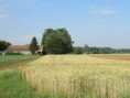 /album/coulon/img-3645-jpg/