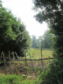 /album/coulon/img-3646-jpg/