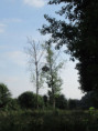 /album/coulon/img-3648-jpg/