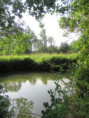 /album/coulon/img-3649-jpg/
