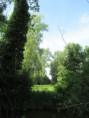 /album/coulon/img-3651-jpg/