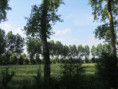 /album/coulon/img-3652-jpg/