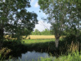/album/coulon/img-3655-jpg/