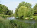 /album/coulon/img-3665-jpg/