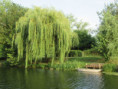 /album/coulon/img-3667-jpg/