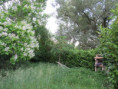 /album/coulon/img-3670-jpg/