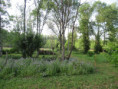 /album/coulon/img-3671-jpg/