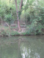 /album/coulon/img-3680-jpg/