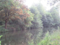 /album/coulon/img-3681-jpg/