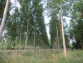 /album/coulon/img-3682-jpg/