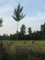 /album/coulon/img-3683-jpg/