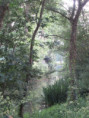 /album/coulon/img-3685-jpg/