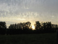 /album/coulon/img-3690-jpg/