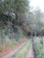 /album/coulon/img-3695-jpg/