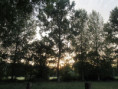 /album/coulon/img-3696-jpg/