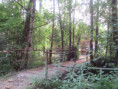 /album/coulon/img-3704-jpg/