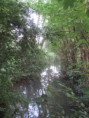 /album/coulon/img-3705-jpg/
