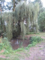 /album/coulon/img-3706-jpg/
