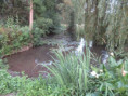 /album/coulon/img-3707-jpg/