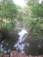 /album/coulon/img-3709-jpg/