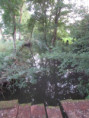 /album/coulon/img-3710-jpg/