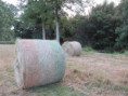 /album/coulon/img-3713-jpg/