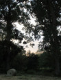 /album/coulon/img-3714-jpg/