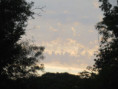 /album/coulon/img-3718-jpg/
