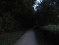 /album/coulon/img-3733-jpg/