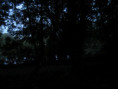/album/coulon/img-3734-jpg/