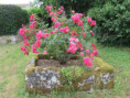 /album/leguille-le-3-juin-2026/img-3767-jpg/