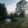/album/moragne/20260606-202421-jpg/