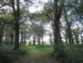 /album/moragne/img-3813-jpg/