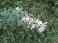 /album/moragne/img-3823-jpg/