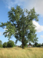 /album/moragne/img-3824-jpg/