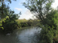 /album/moragne/img-3831-jpg/