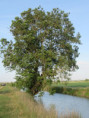 /album/moragne/img-3833-jpg/
