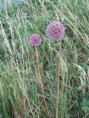 /album/moragne/img-3835-jpg/