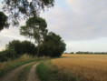 /album/moragne/img-3844-jpg/