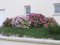 /album/moragne/img-3857-jpg/