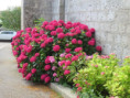 /album/saint-savinien-le-10-juin-2026/img-3899-jpg/