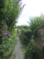 /album/saint-savinien-le-10-juin-2026/img-3904-jpg/