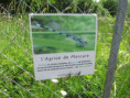 /album/saint-savinien-le-10-juin-2026/img-3905-jpg/