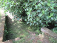 /album/saint-savinien-le-10-juin-2026/img-3906-jpg/